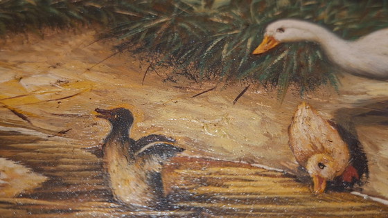 Image 1 of Topstuk: Authentieke Jan Hendrik Verburgh – "Familie Eenden" – Monumentale 19e-eeuwse Biggs & Sons Lijst