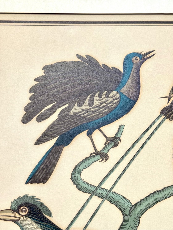 Image 1 of Lithographie ornithologique ancienne, Georges-Louis Leclerc, années 1920, imprimée par Weissenbruch S.A.