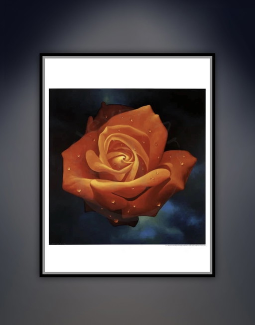 “Orange Rose”.

Signed in the Plate.

Beautiful Colors!
