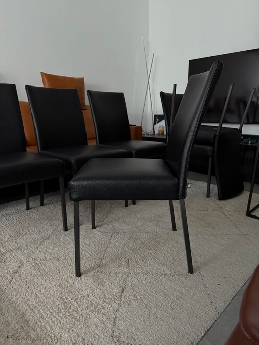 6x Rolf Benz 651