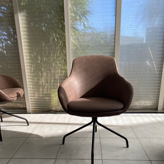 Image 1 of Sedia da pranzo Bora Just Design (set da 2)