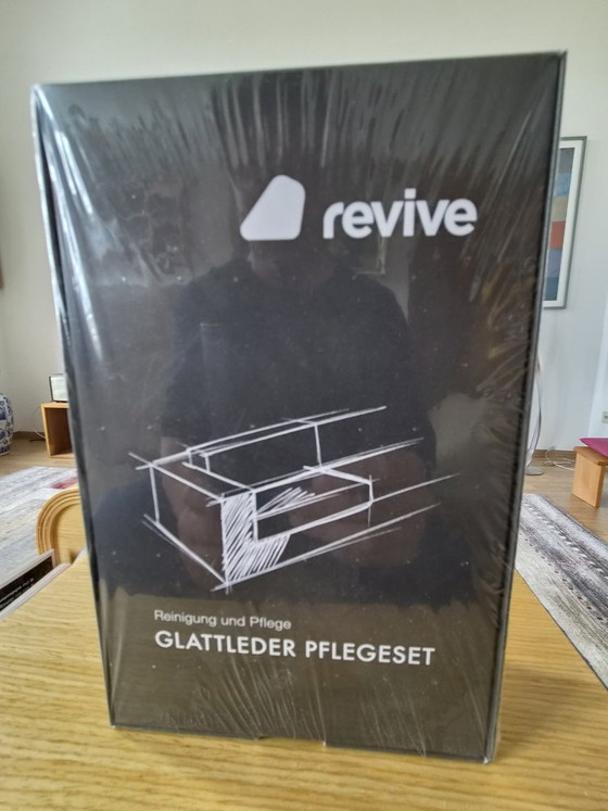 De Sede DS-450 – Divani 2 posti, Leather, Metal (photo 6 of 6)