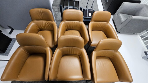 6x leolux gyon eetkamerstoel laag tour; bek binnenleidingzijde/ buitenzijde = 19427 noli 272 oliva; onderstel epoxy