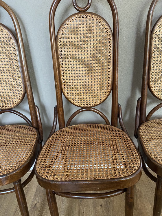 Image 1 of 4 sedie vintage in stile Thonet con cinghie Lange Jan