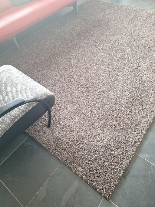 New chinchilla rug
