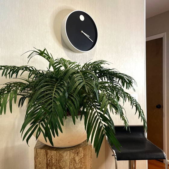 Image 1 of Restored Nathan George Howard Museum Wall Clock for Howard Miller