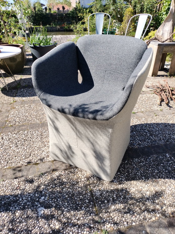 Image 1 of 2x Moroso Bloomy