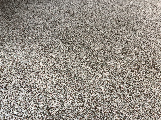 Image 1 of Millenerpoort Piccolo 25 rug - 280x310