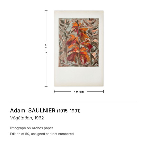 Image 1 of Adam SAULNIER Végétation-lithografie 1962