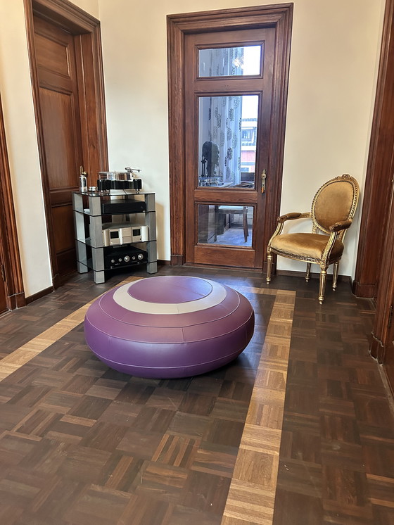 Image 1 of Leolux poeta