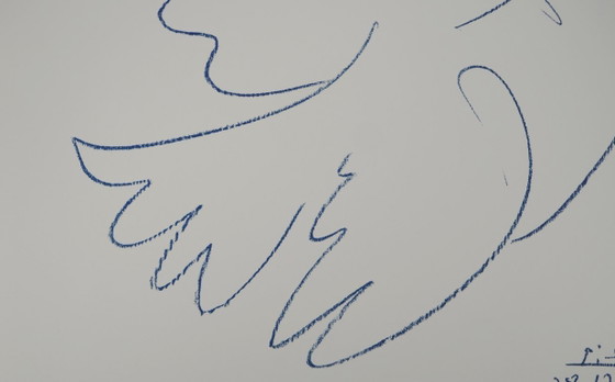 Pablo Picasso: The Blue Dove (Large Model), Signed Lithograph – Lithographs & prints, Paper (photo 5 of 6)