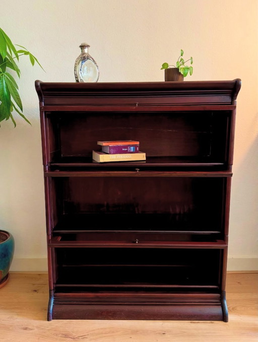 Globe Wernicke style bookcase