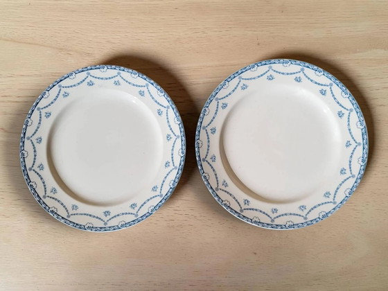 6 platos de loza inglesa "Cheltenham" — F. Winkle & Co – Porcelain, Art Nouveau (photo 3 of 8)