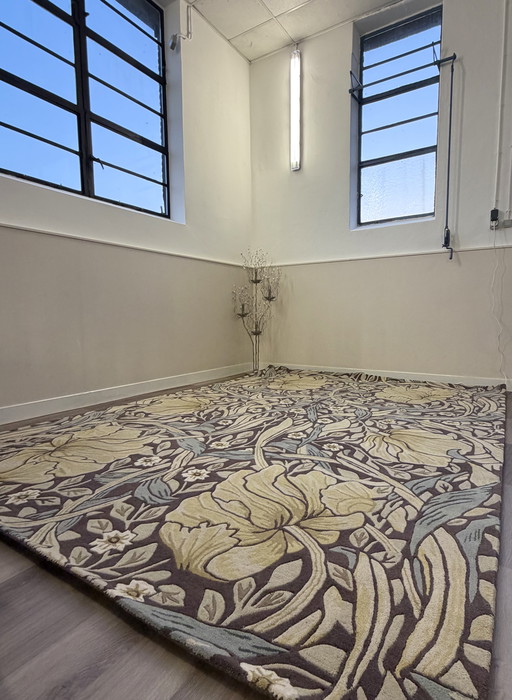 Brink en Campman Morris & Co Pimpernel 28808