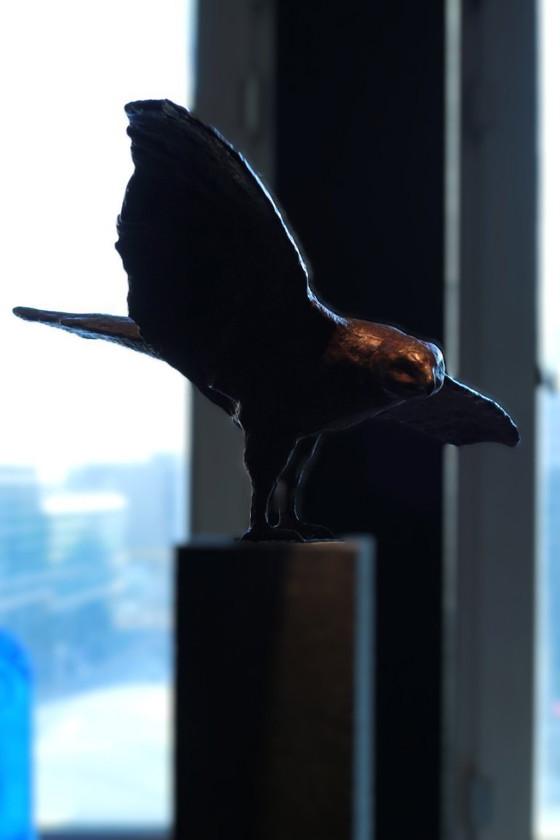 Image 1 of Buizerd - Arvid Henkes