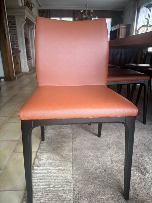 Stoelen Cattelan Italia model Arcadia