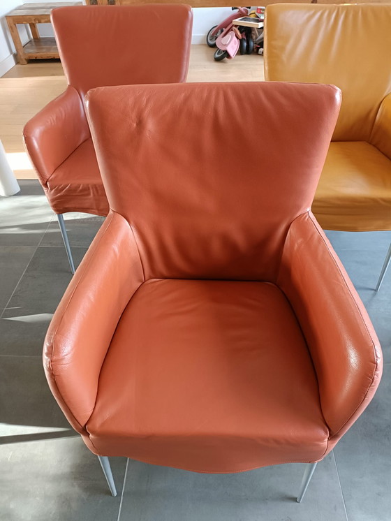 Image 1 of 4 lussuose sedie in pelle