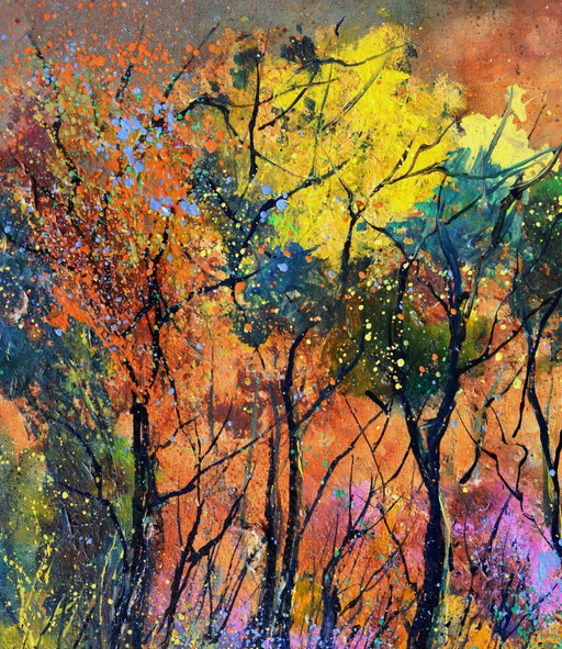 Paysages forestiers colorés