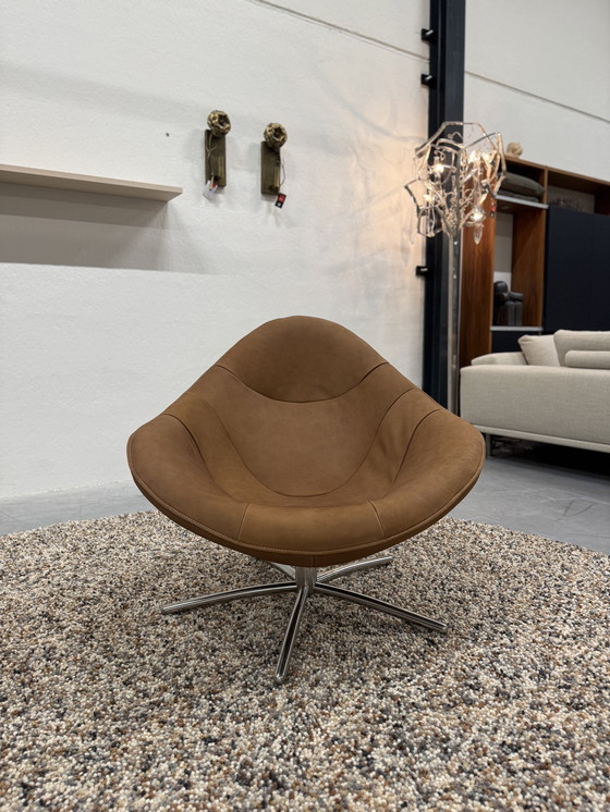 Image 1 of Etichetta van den Berg Hidde Poltrona Bufalo d'acqua Cognac