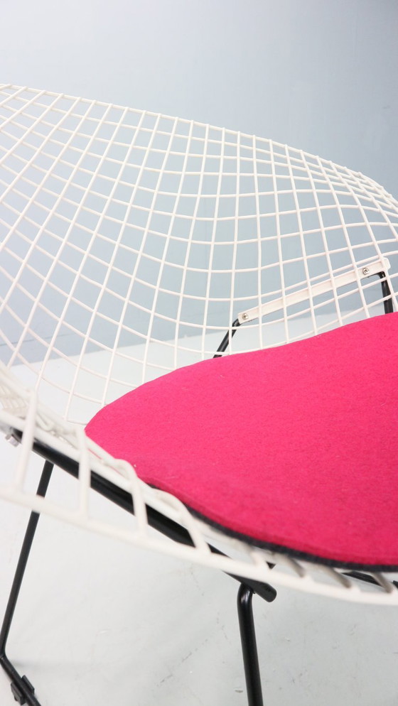 Image 1 of Silla Diamond de Harry Bertoia en metal blanco y negro y nuevos asientos años 60