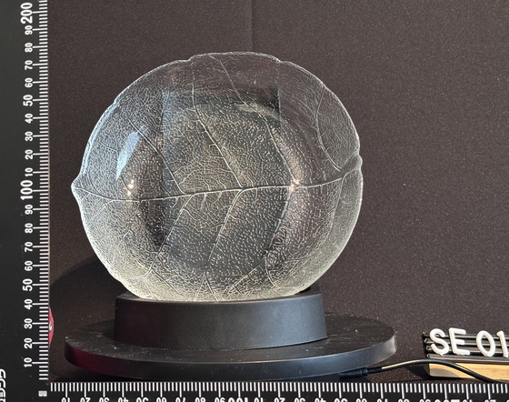 Image 1 of Arcoroc Aspen Glassware – Stoviglie a forma di foglia vintage