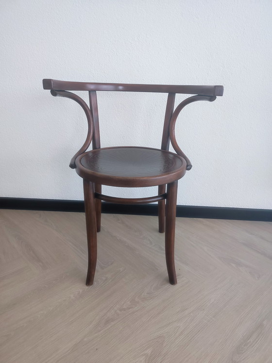 Image 1 of Chaise Thonet Cosmos classique