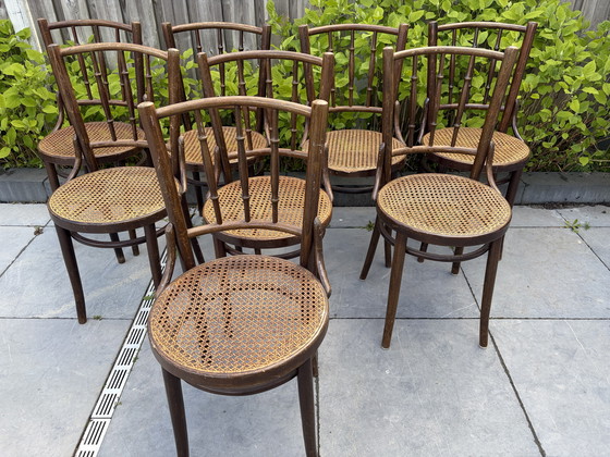 Image 1 of 8 vintage Thonet stijl bistro stoelen Romania webbing zitting