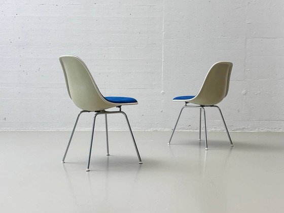 Image 1 of Set of 4 chairs (sidechairs) by Charles Eames for Hermann Miller, 1960s