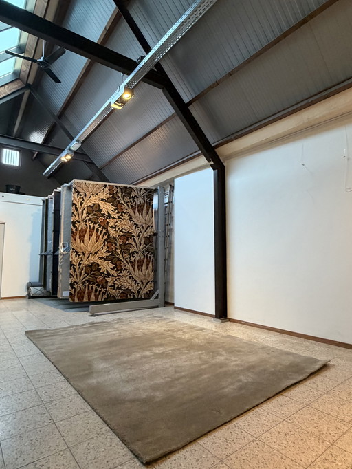 Perletta Moods Showroom-Teppich 220 x 325