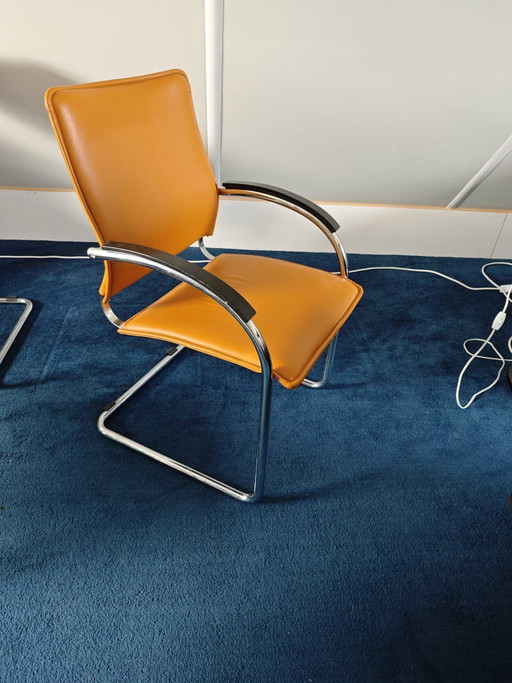 Heyman Bv Stoffeerders Lederen Stoelen – eetkamerstoelen, Leather, Metal (photo 2 of 5)