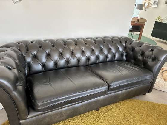 Chesterfield 3Zitter ! – Bendic, 3-5 zitsbanken, Leather (photo 3 of 9)