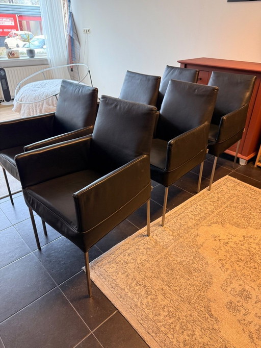 6 sedie da pranzo in pelle Bert plantagie