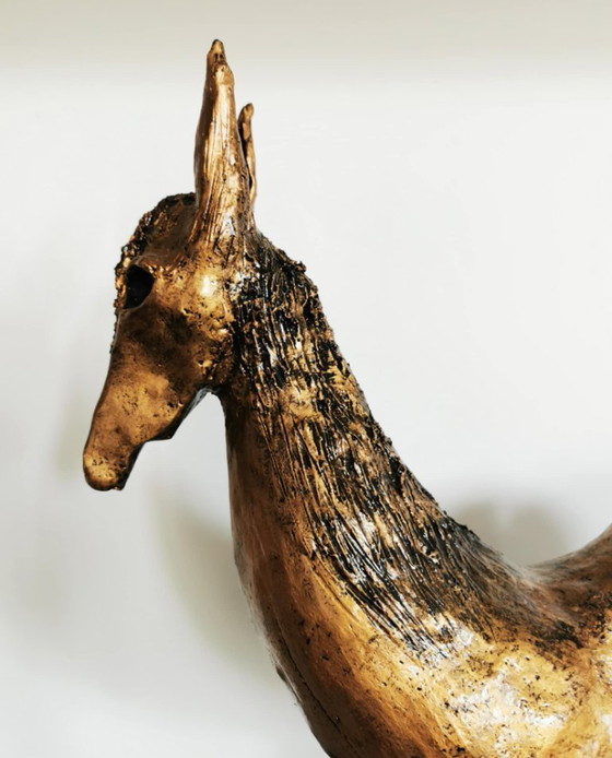 Image 1 of Asino al galoppo