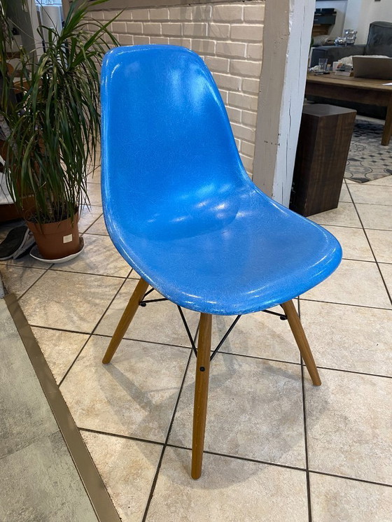 Image 1 of Sedia DSW, fibra blu turchese, Dowel oak, rovere chiaro, Eames Herman Miller, vintage anni '50