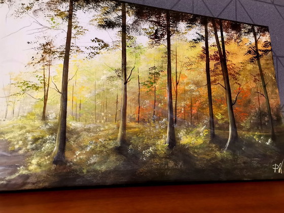 Image 1 of Patrycja Wachecka - Meine Wälder