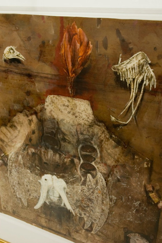 Image 1 of Bierenbroodspot