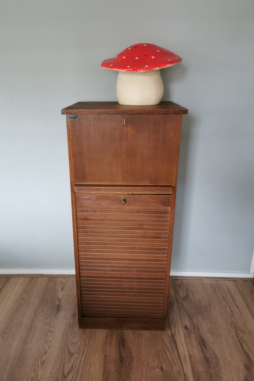 Vintage roller door cabinet/archive cabinet
