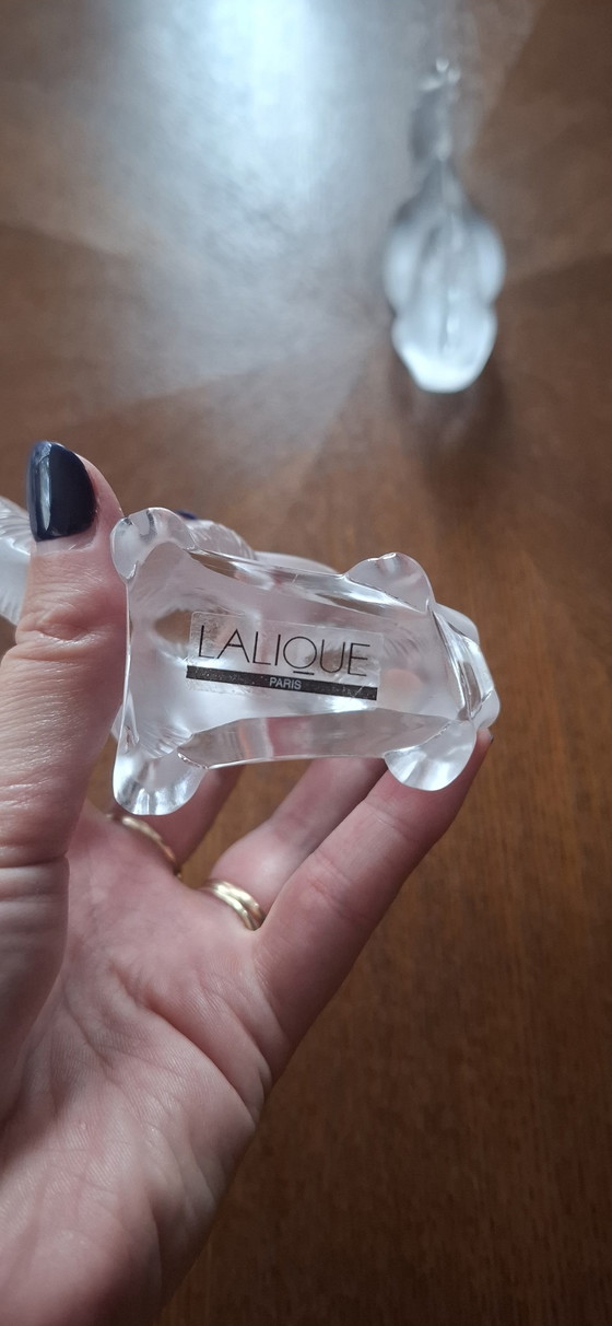 Image 1 of Lalique Kamelen