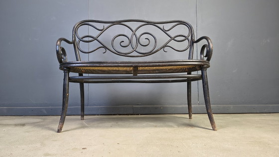 Image 1 of Jugendstil-Sofa Nr. 2 aus gebogenem Holz und Rohrgeflecht von den Gebrüdern Thonet, Österreich, 1900er Jahre
