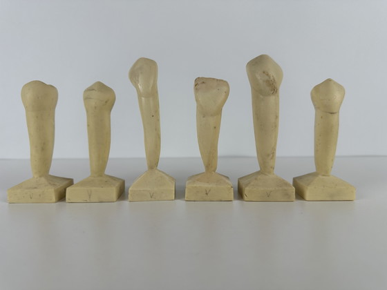 Image 1 of 6 modelli didattici vintage - odontoiatria