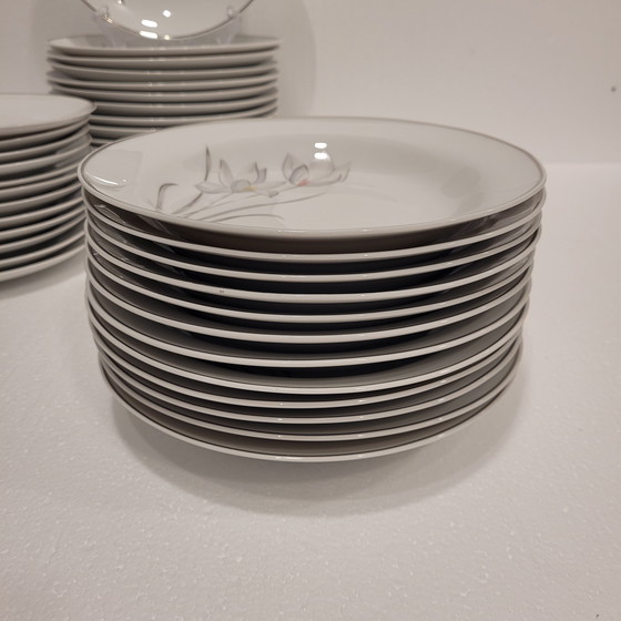 Image 1 of Vajilla de Porcelana Flores, Eschenbach, 55 Piezas, 50’s - Alemania