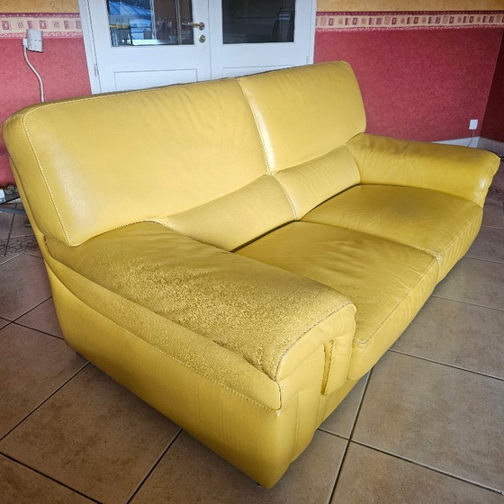 Divano 2 posti -Roche Bobois- Pelle bovina pieno fiore – Divani 2 posti, Leather (photo 2 of 5)