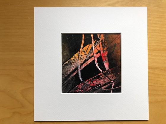 Image 1 of Rob Jacobs - underwater world 1