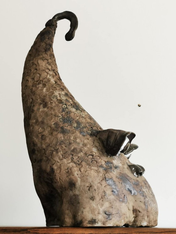 Image 1 of Vis met puilogen