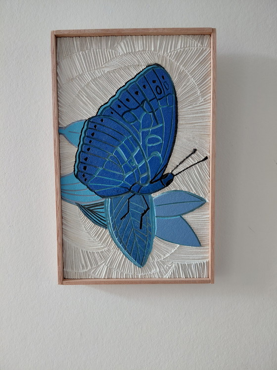 Image 1 of Galería "Alas Azules Luz Blanca" Suncorner