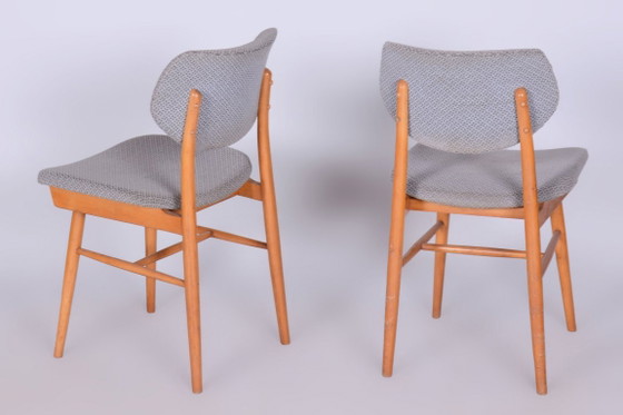 Set of Four Original Mid-Century Modern Chairs, Beech, Czech, 1960s – Jitona, Dining chairs, Textile, Wood (photo 10 of 15)