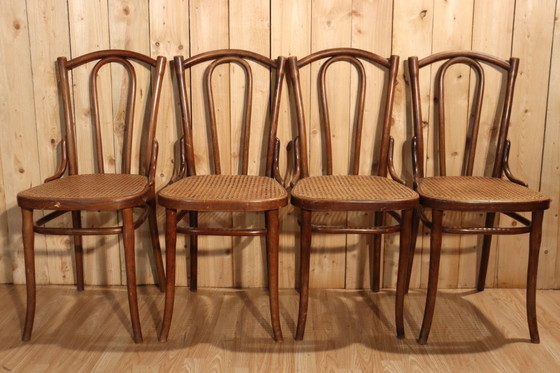 Image 1 of Series x8 bistro chairs no. 56 by Thonet 1904