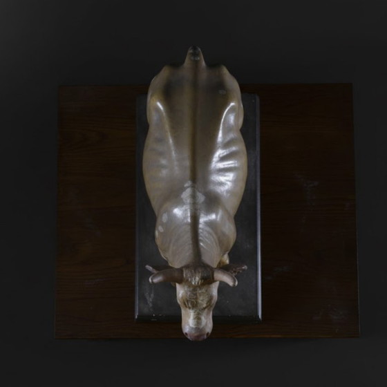 Image 1 of Modelo de vaca, Max Landsberg, 1881, Alemania