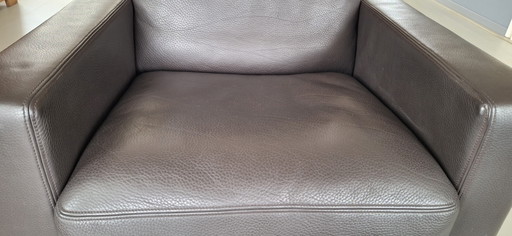 El sillón De Sede Ds 17 Design club WK Living está tapizado en piel de alta calidad.