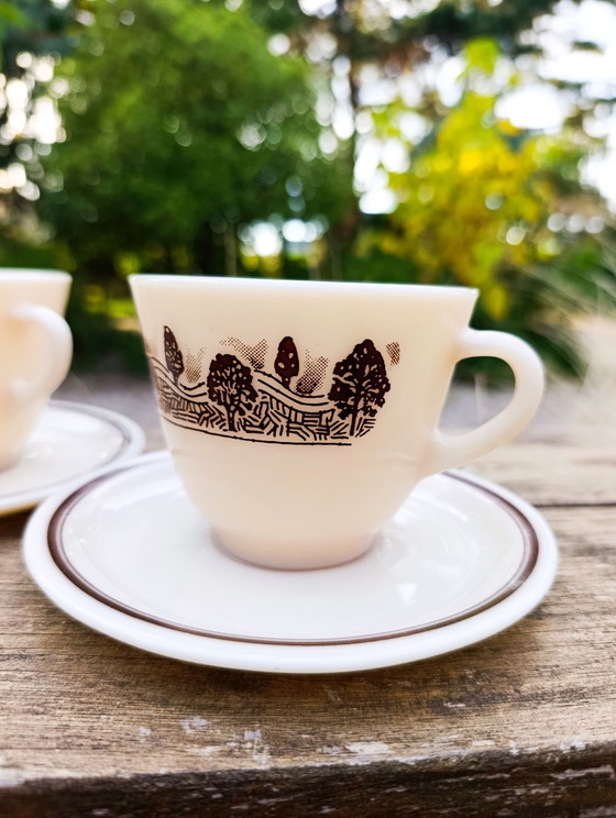 2 tazze / sottotazze vetro opalino decoro bucolico, JAJ Pyrex England – Accessori da tavola (photo 7 of 7)